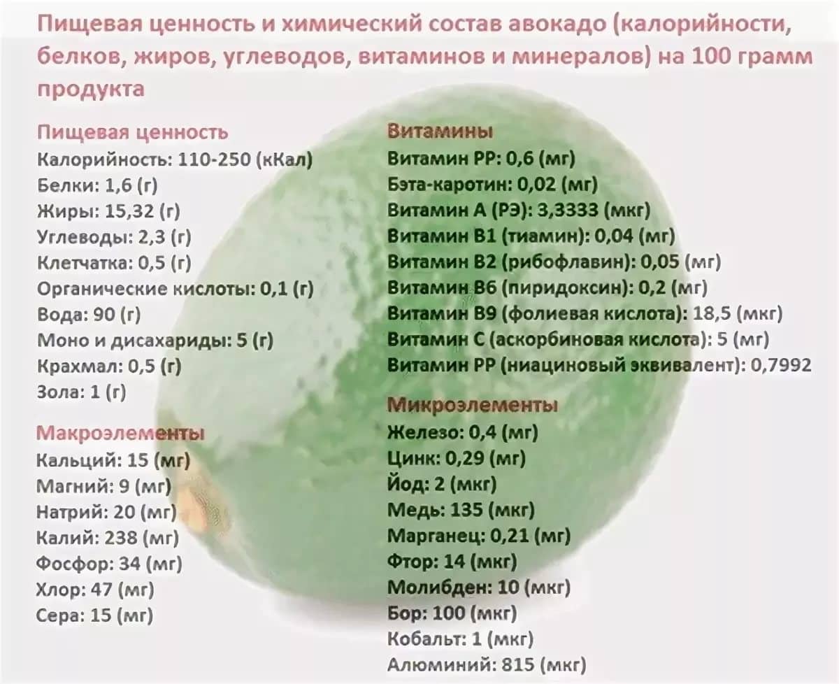 Химический состав авокадо